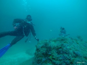 DCIM100GOPROGOPR9498.JPG