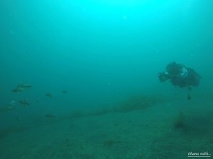 DCIM118GOPROGOPR4421.JPG