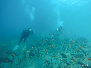 DCIM122GOPROGOPR4843.JPG