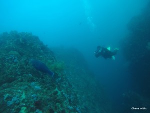 DCIM136GOPROGOPR8294.JPG