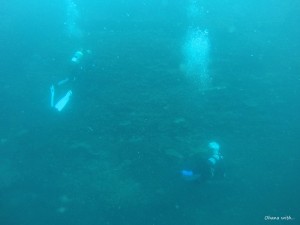 DCIM100GOPROGOPR6576.JPG