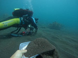 DCIM100GOPROGOPR0758.JPG