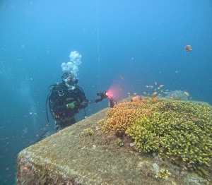 DCIM100GOPROGOPR3409.JPG