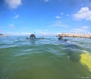 DCIM100GOPROGOPR4328.JPG