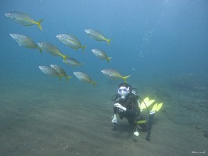 DCIM100GOPROGOPR1078.JPG