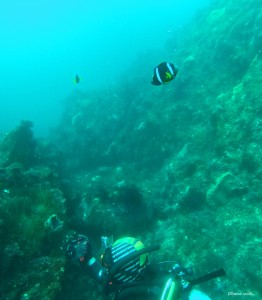 DCIM100GOPROGOPR4234.JPG