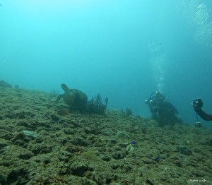 DCIM100GOPROGOPR5541.JPG