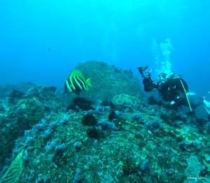 DCIM100GOPROGOPR6863.JPG