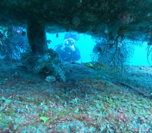 DCIM100GOPROGOPR9363.JPG