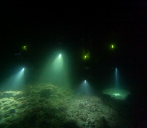 DCIM100GOPROGOPR3510.JPG