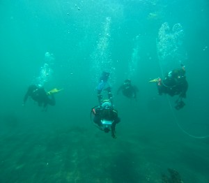 DCIM100GOPROGOPR3578.JPG