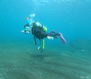 DCIM100GOPROGOPR1617.JPG