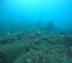 DCIM100GOPROGOPR0573.JPG