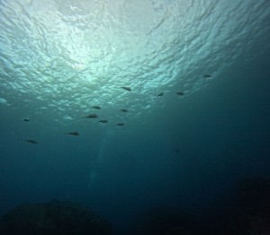 DCIM100GOPROGOPR6258.JPG