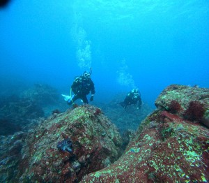 DCIM100GOPROGOPR7279.JPG