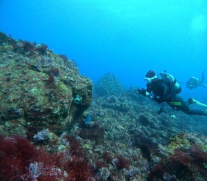 DCIM100GOPROGOPR3629.JPG