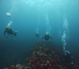 DCIM100GOPROGOPR3917.JPG